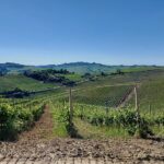 Het landschap van de Monferrato Acquese