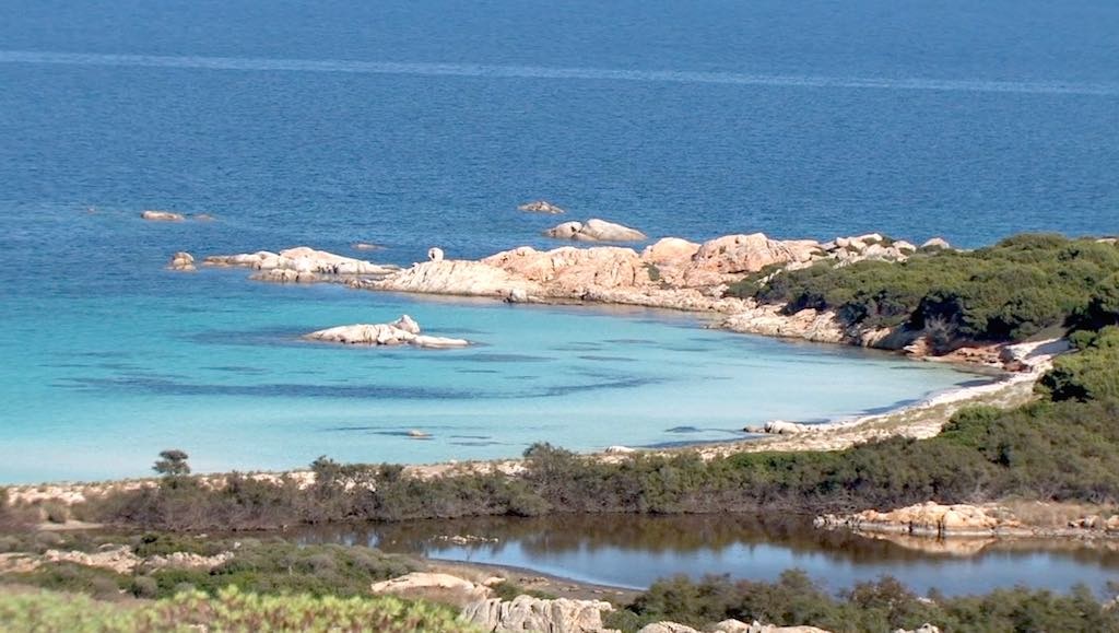 Asinara bij Sardinië