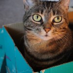 Emigreren naar Italië