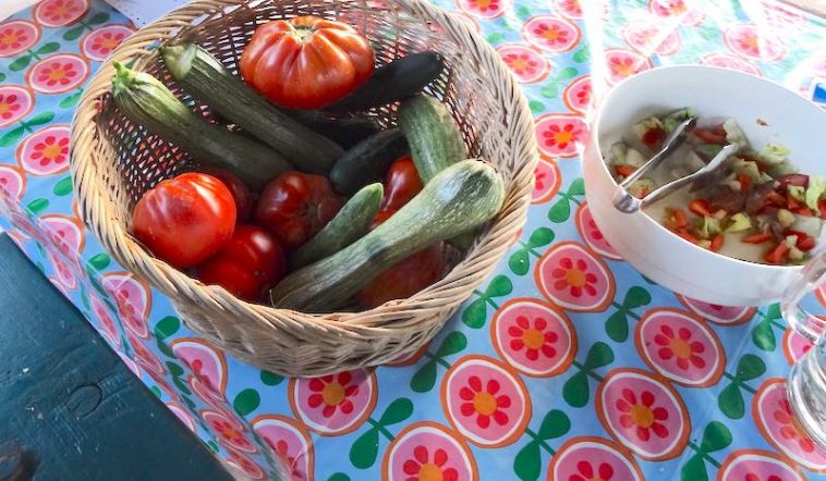 moestuinveteraan