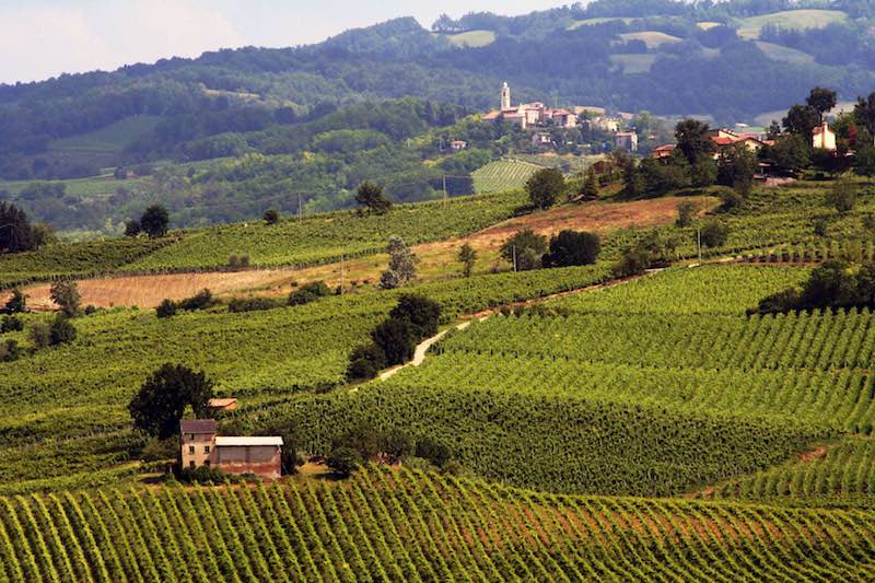 7 onweerstaanbare redenen om de Oltrepò Pavese te komen ontdekken!