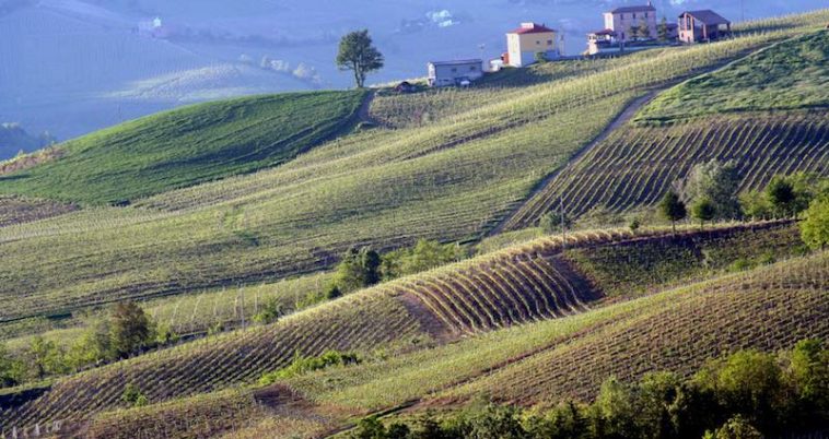 7 onweerstaanbare redenen om de Oltrepò Pavese te komen ontdekken!