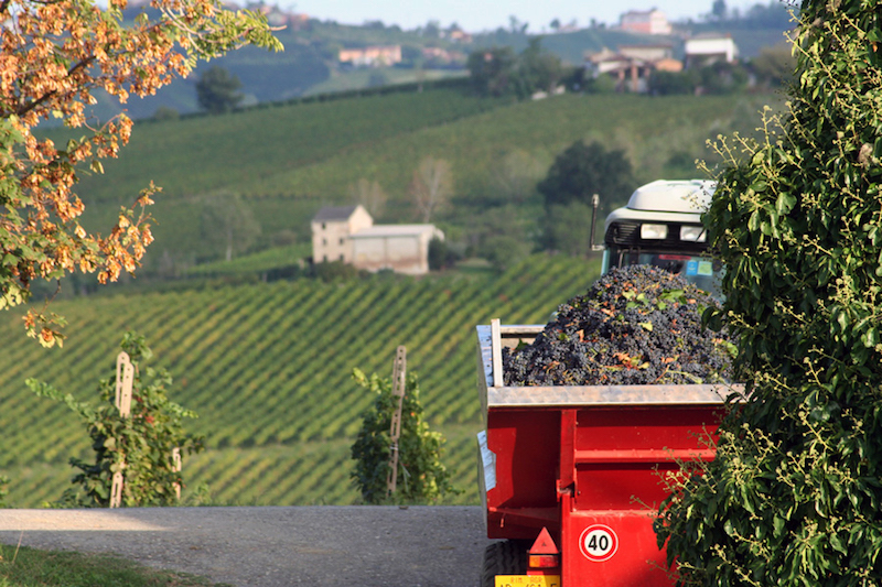 7 onweerstaanbare redenen om de Oltrepò Pavese te komen ontdekken!