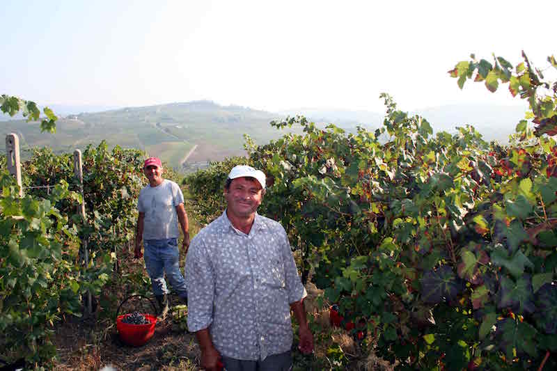 7 onweerstaanbare redenen om de Oltrepò Pavese te komen ontdekken!