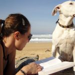 een hondenleven in Italië