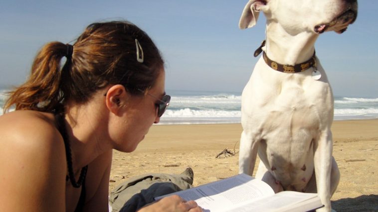 een hondenleven in Italië