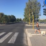 Rome in augustus: lege straten