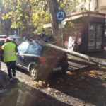 Vallende bomen door gebrek aan onderhoud in Rome