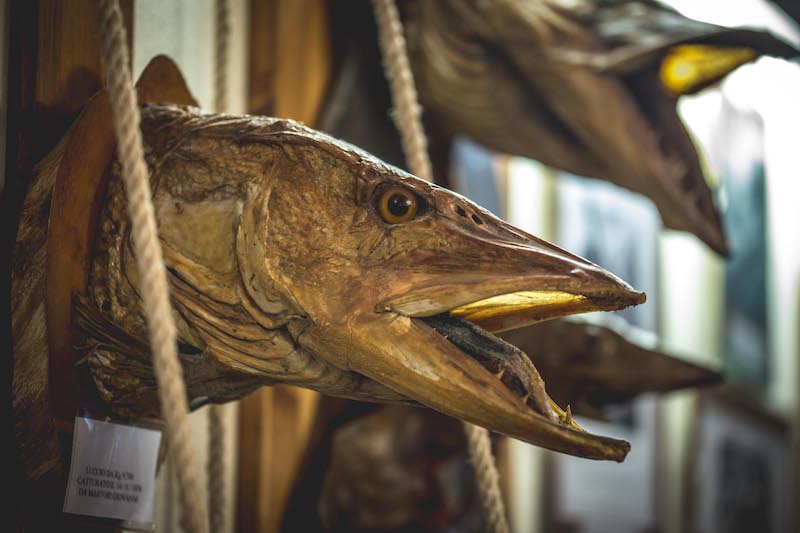 Het visserijmuseum in Peschiera 