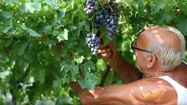 beste Italiaanse wijnstreken