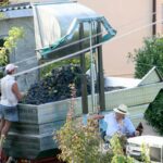 Moderne slavernij in Italië