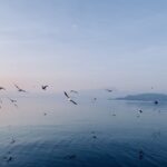 Roadtrip Noord-Italië Gardameer