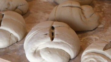 recept zuurdesembrood Oltrepò Pavese