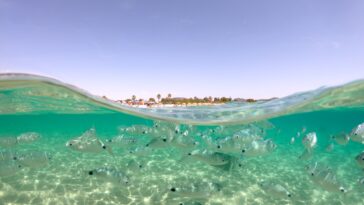 Villasimius op Sardinië is een van de mooiste zomerbestemmingen op Italië volgens Airbnb
