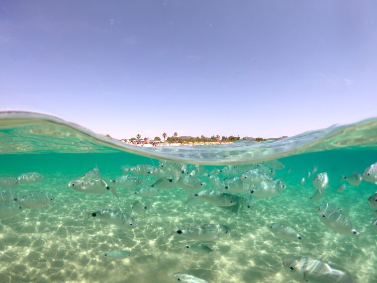Villasimius op Sardinië is een van de mooiste zomerbestemmingen op Italië volgens Airbnb