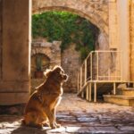 Puglia in het najaar