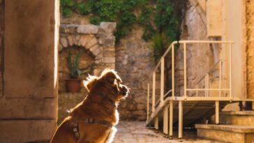 Puglia in het najaar