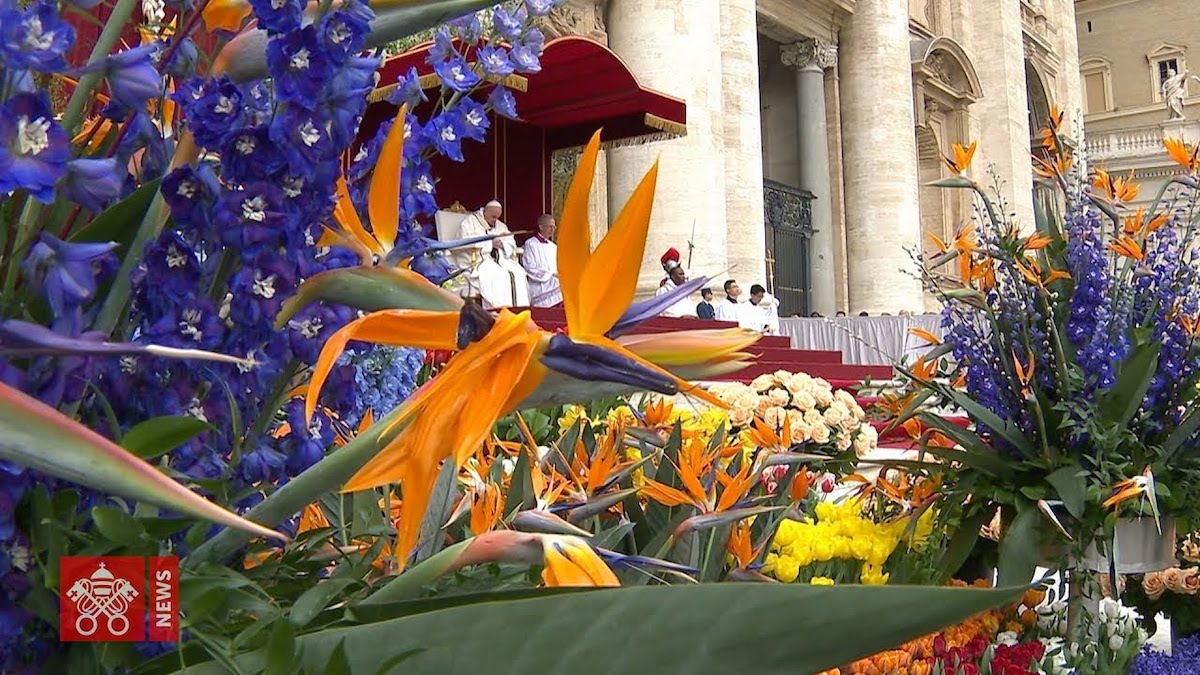 Nederlandse bloemen op het Sint Pietersplein