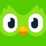 Italiaans leren met Duolingo of met een cursus Italiaans?