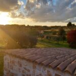 Onze vakantie zonder échte toeristische hoogtepunten in Apulië