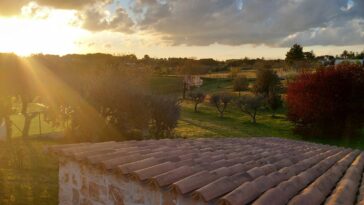 Onze vakantie zonder échte toeristische hoogtepunten in Apulië