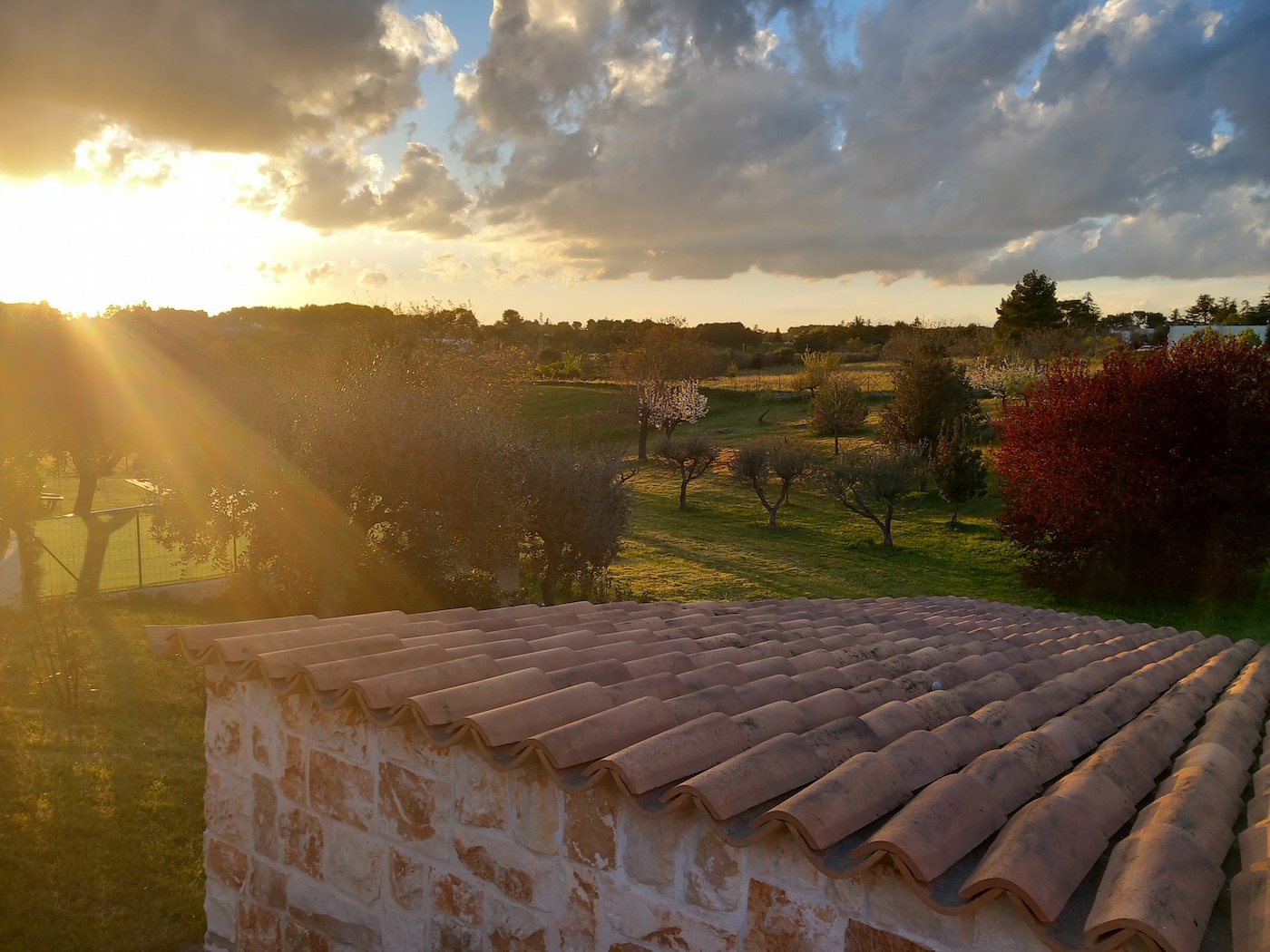 Onze vakantie zonder échte toeristische hoogtepunten in Apulië