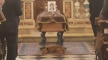 hond blijft trouw aan baasje in Italië na de dood