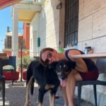 Hoe hondvriendelijk is Italië?