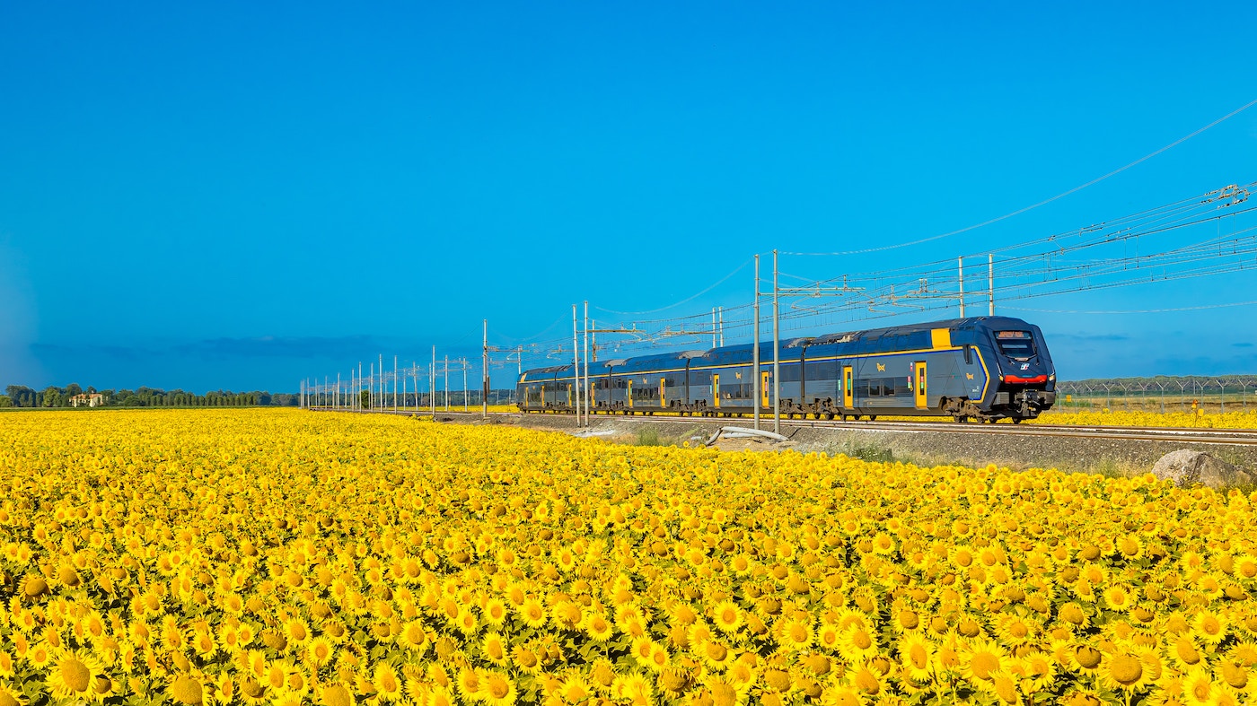 De regionale trein tussen Florence en Pisa in een zee van zonnebloemen