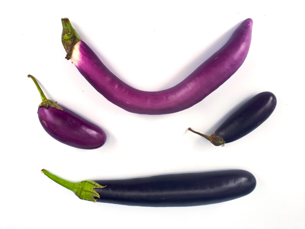 De verschillende soorten aubergines, ken je ze allemaal?