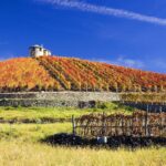 Italiaanse woorden die je in de herfst hoort