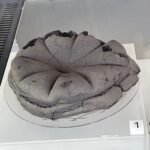 Geblakerd brood uit het Pompeï van de gewone mens