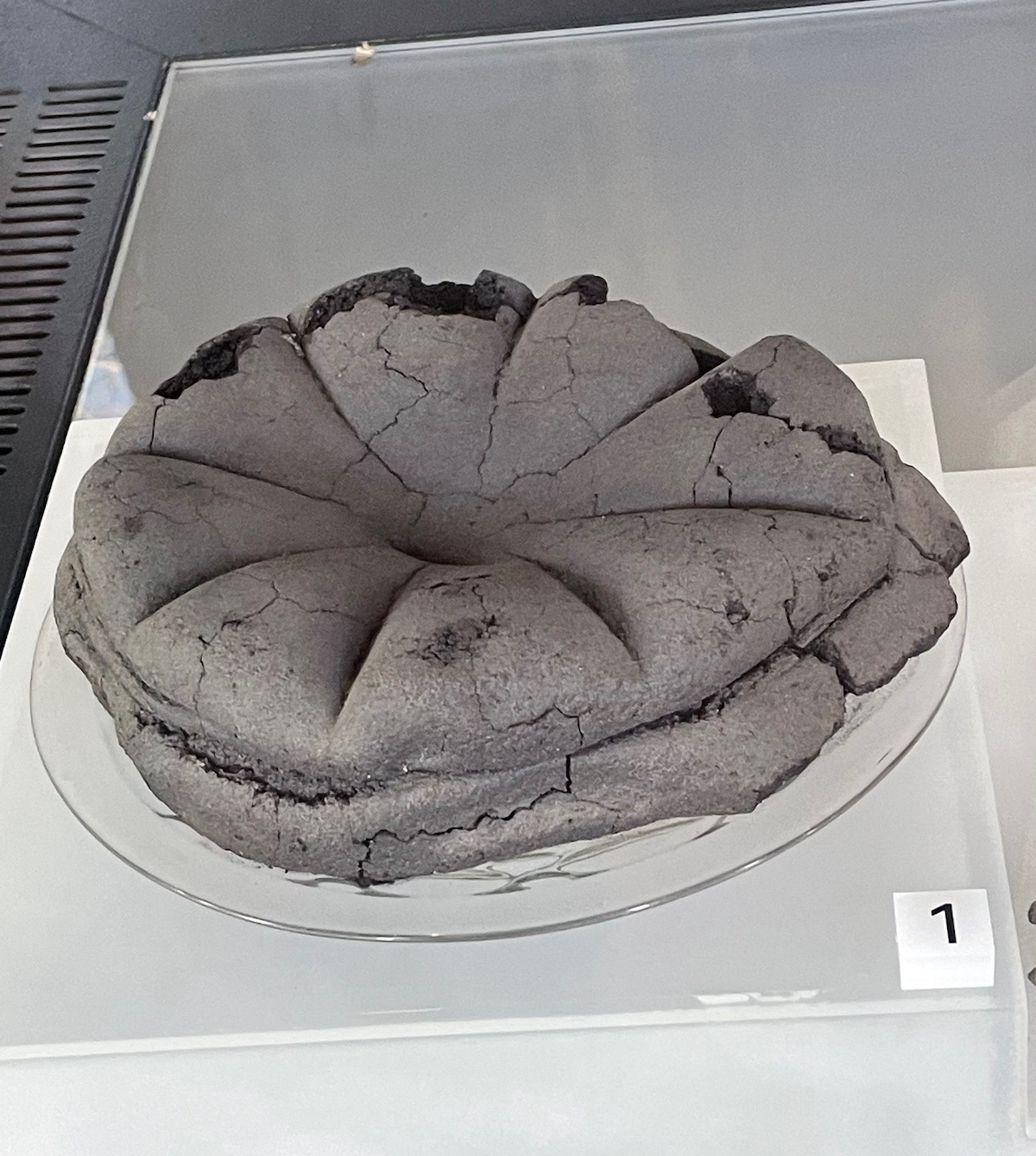 Geblakerd brood uit het Pompeï van de gewone mens
