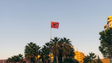 Albanese vlag wappert boven de palmbomen in Durrës, Albanië