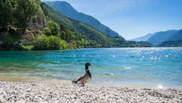 Het rustige Ledromeer is een mooi alternatief voor het drukke Gardameer (foto: Tom
