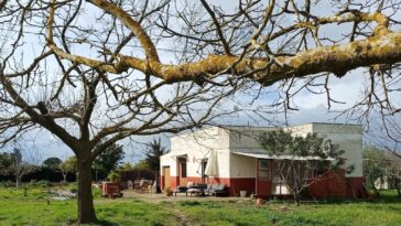 Het nieuwe huis van Caroline en haar Italiaanse man Roberto in Cutrofiano, provincie Lecce, Apulië (