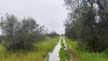Het heeft veel geregend in Zuid-Italië