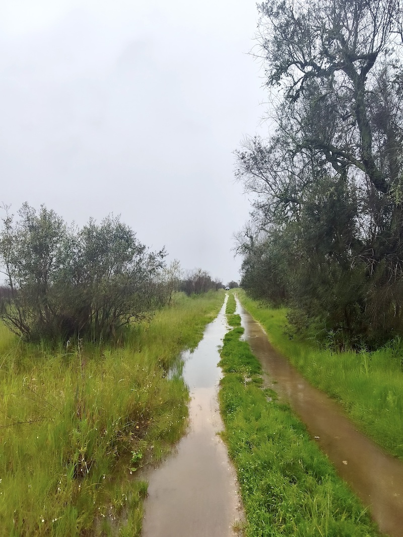 Het heeft veel geregend in Zuid-Italië