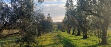 Ons landgoed in Zuid-Italië