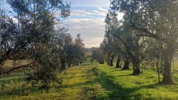 Ons landgoed in Zuid-Italië