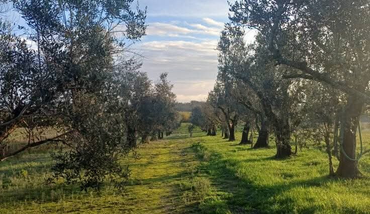 Ons landgoed in Zuid-Italië