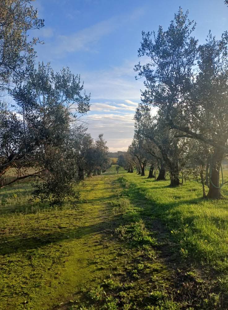 Ons landgoed in Zuid-Italië